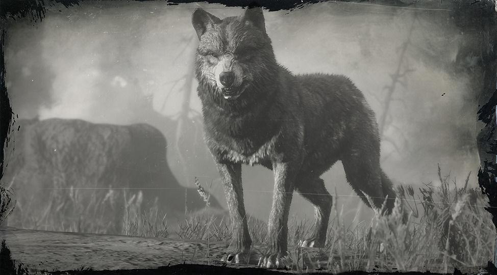 Legendary Wolf - RDR2 Animal Legendary Wolf - RDR2 Animal