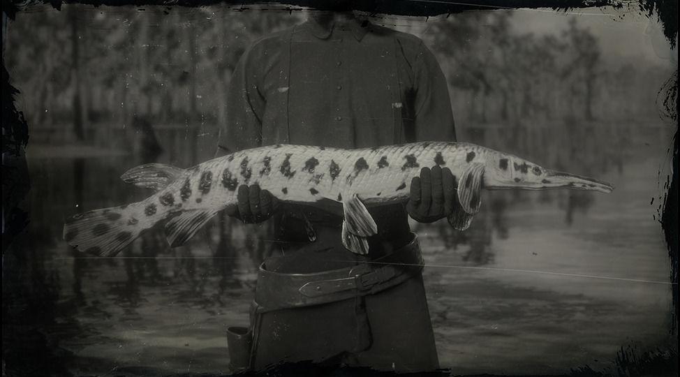 Legendary Longnose Gar - RDR2 Animal Legendary Longnose Gar - RDR2 Animal