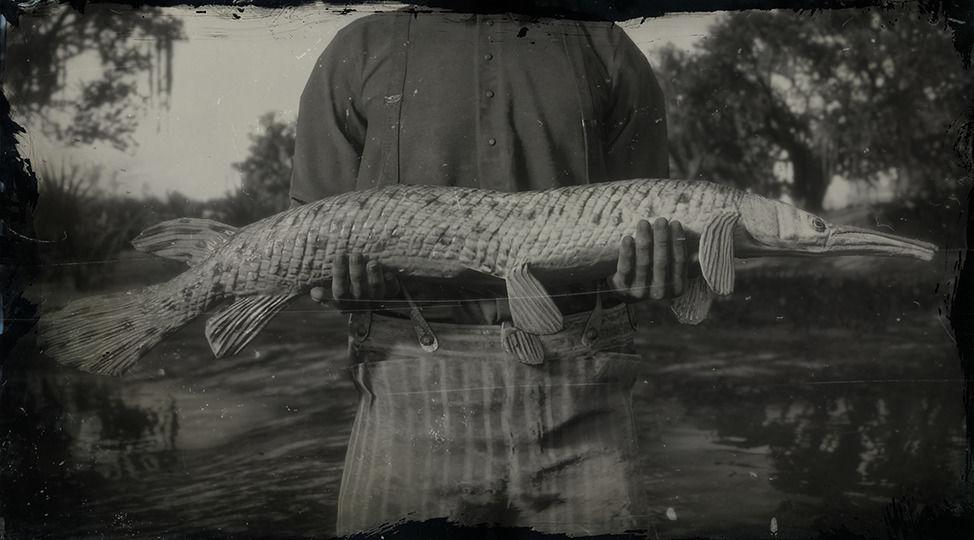 Longnose Gar - RDR2 Animal Longnose Gar - RDR2 Animal