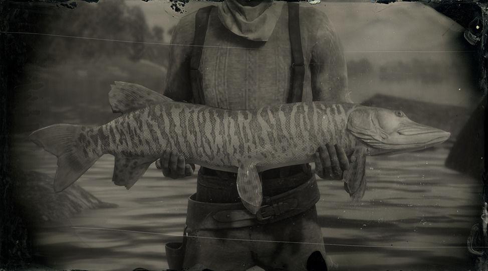 Legendary Muskie