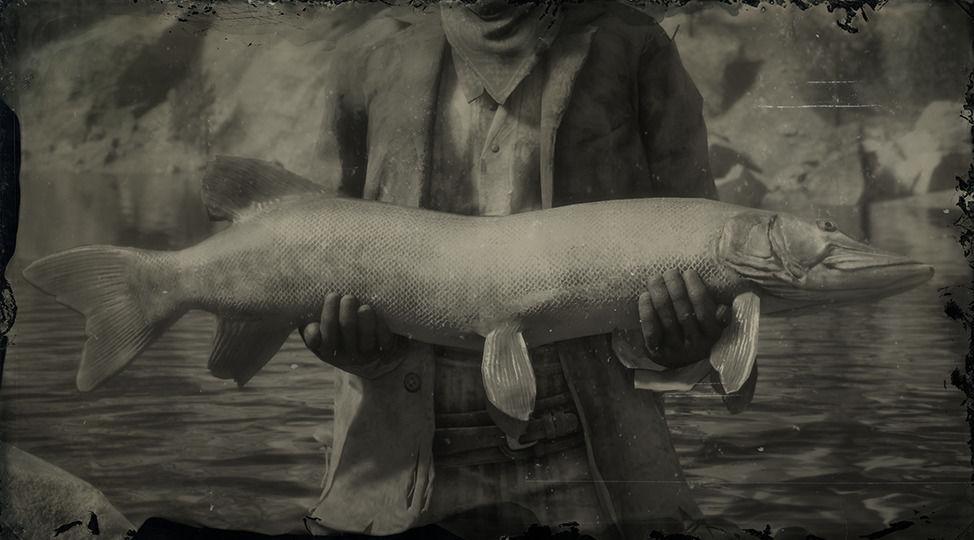 Muskie - RDR2 Animal Muskie - RDR2 Animal