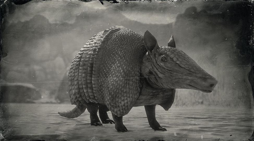 Nine-banded Armadillo - RDR2 Animal