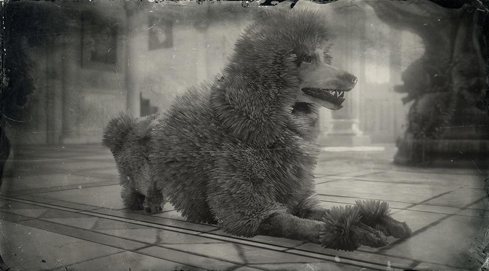 Poodle - RDR2 Animal Poodle - RDR2 Animal