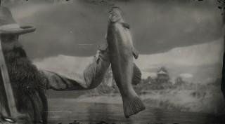 Legendary Bullhead Catfish