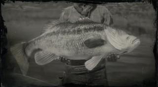 Legendary Largemouth Bass