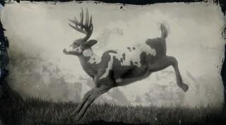 Legendary Buck