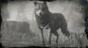 Legendary Wolf