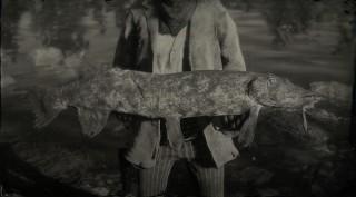 Legendary Northern Pike