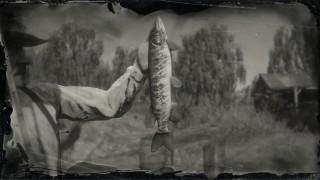 Legendary Redfin Pickerel