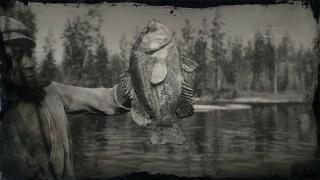 Legendary Rock Bass