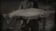 Steelhead trout legendary