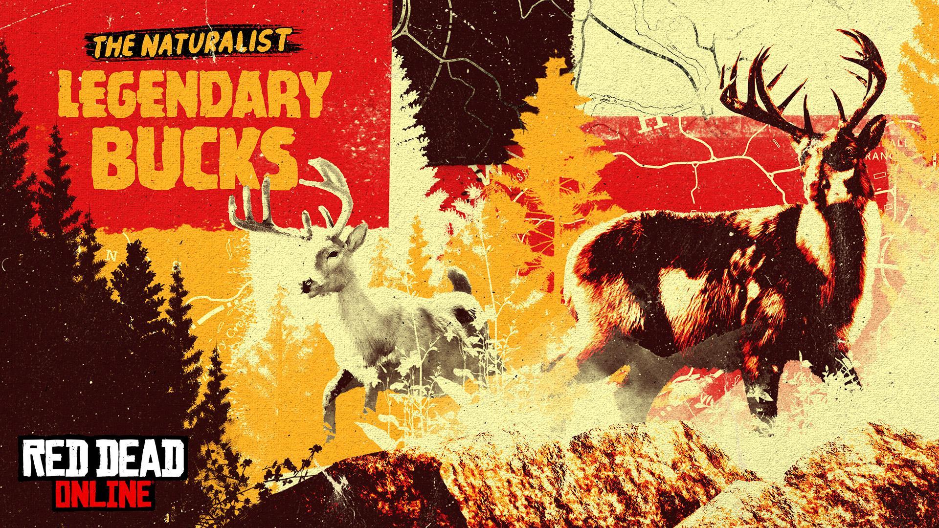 Red Dead Online New Legendary Animals New Emotes Hardcore Series 