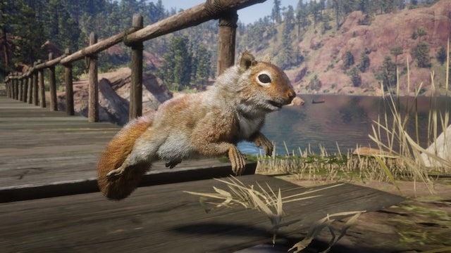 red dead redemption 2 squirrel