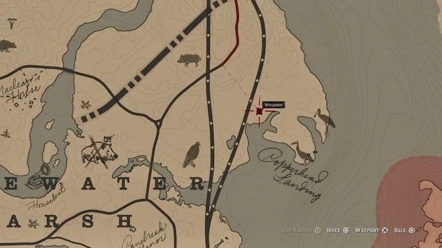 red dead redemption 2 toad and bullfrog hunting requests animal location