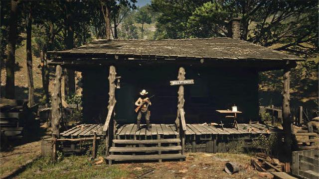 RDR2 Character - Hermit