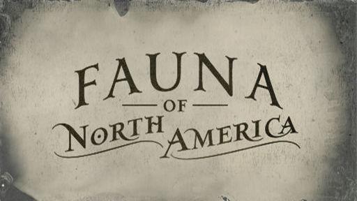 Fauna of America Card Set
