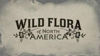 Flora of America Card Set