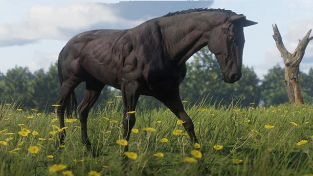 Black Chestnut Thoroughbred - RDR2 Horse Black Chestnut Thoroughbred - RDR2 Horse