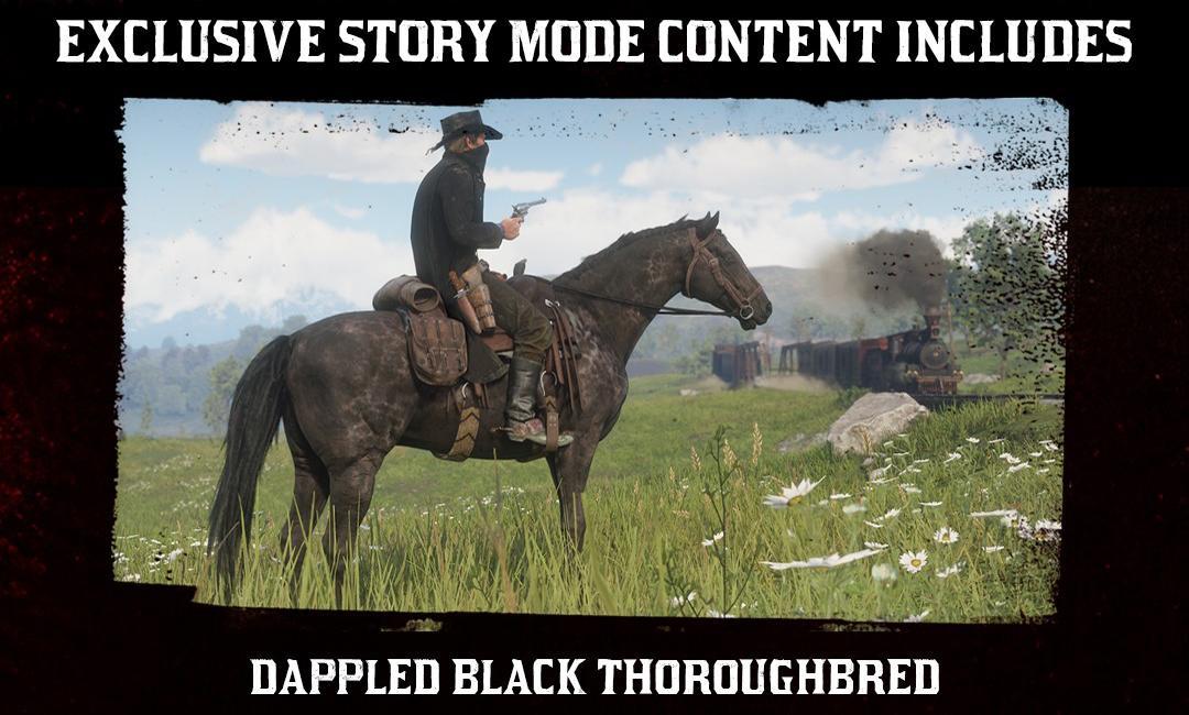 Dappled Black Thoroughbred - RDR2 Horse