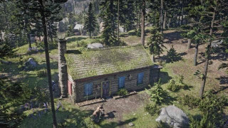 RDR2 Strangers - A Better World, A New Friend (Hunting Requests)