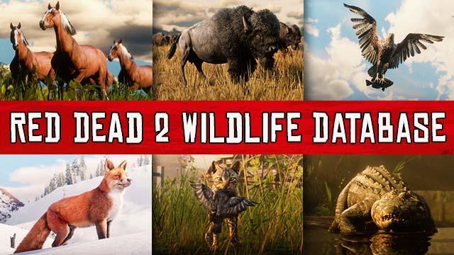 RDR2 Animals List Guide: All Birds Database