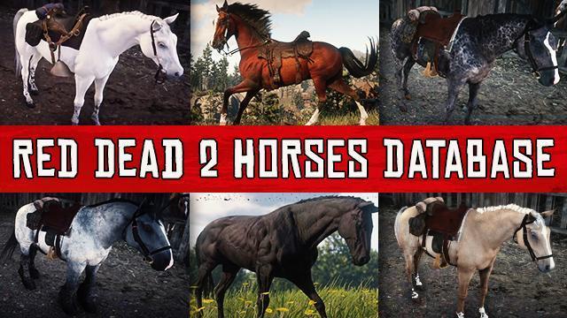 Elastisk replika mesterværk Launching: The complete and interactive Red Dead Redemption 2 Horses  Database!