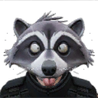 Raccoon