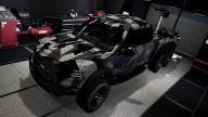 Caracara: Custom Paint Job by Zingerelli