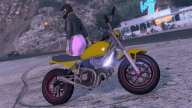 Esskey: Custom Paint Job by Sachathestupidgirl