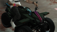 Stryder: Custom Paint Job by Gogosanu Ionut