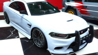 Buffalo STX Pursuit: Custom Paint Job by Fabio